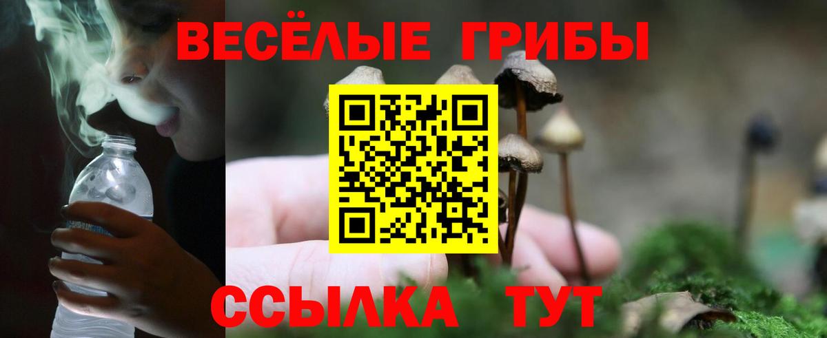 Псилоцибиновые грибы ЛСД Лениногорск